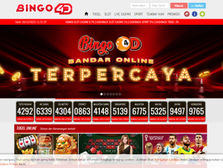 Bingo4d